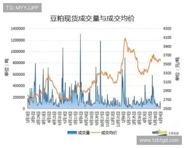 武汉网球队与重庆网球队赛后分析个人能力表现及影响因素探讨 武汉网球队与重庆网球队赛后分析个人能力表现及影响因素探讨