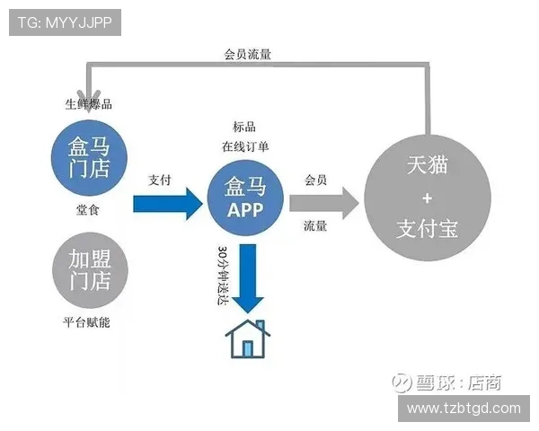 深入分析杭州羽毛球队的运营策略与发展模式探讨