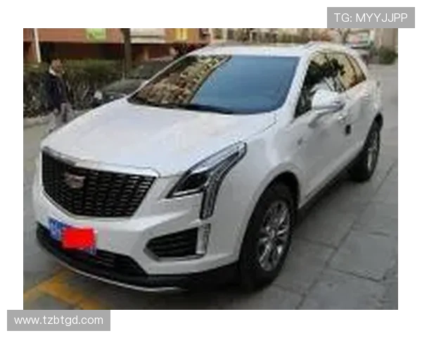 上海网球队在洲际杯积分榜上以62分稳居第一名,展现强劲实力 上海网球队在洲际杯积分榜上以62分稳居第一名,展现强劲实力